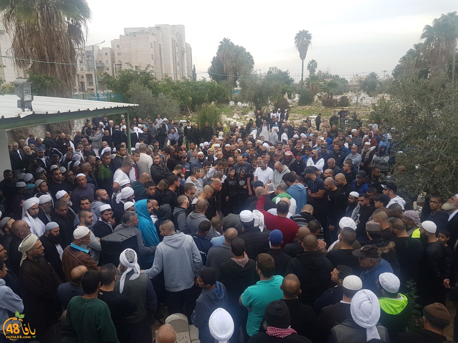 tasheeye3 om mhmoud (17).jpg